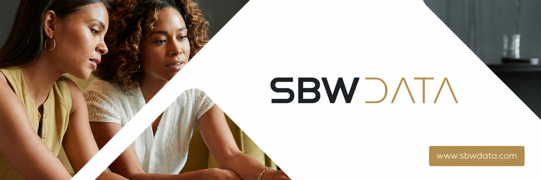 FBCover_SBWData